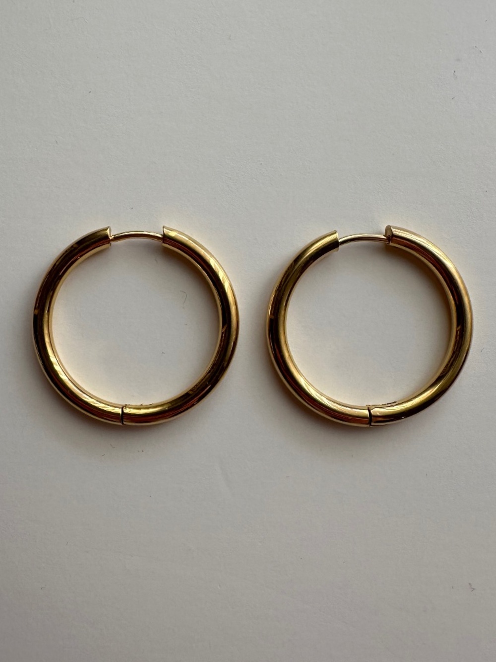 NWOT Gold tone Hoop Earrings